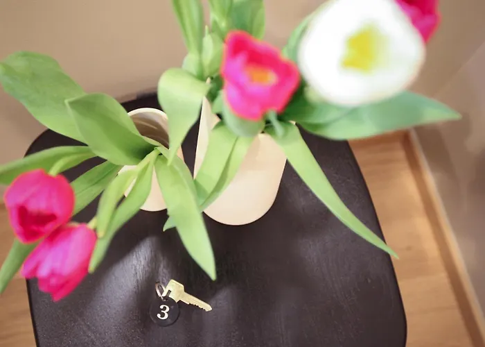 Cà Bèla - Venini 3*