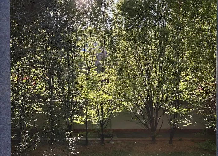 Design - One Bedroom