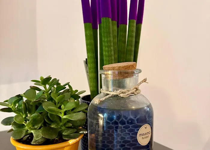 Luro - Suzzani 98 Daire Milano