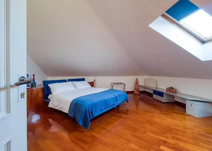 La Collezione Di Anna Milán