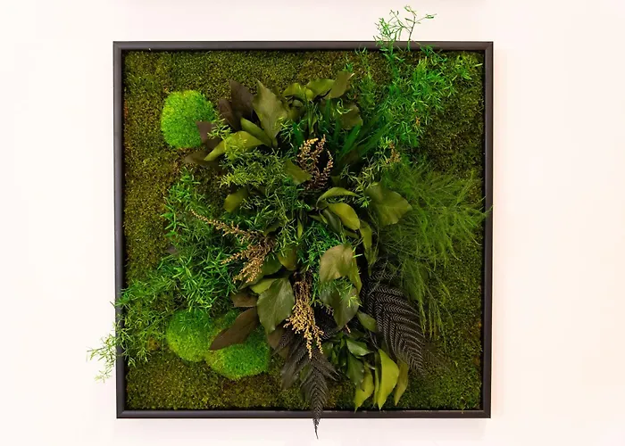 Casati Elegant * Mediolan