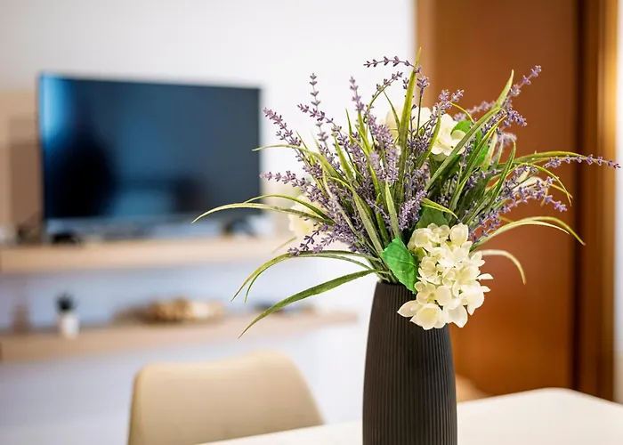 Apartment San Gregorio