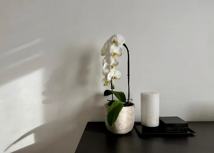 アパート Urban Retreat Minutes Away From Duomo Cathedral ミラノ