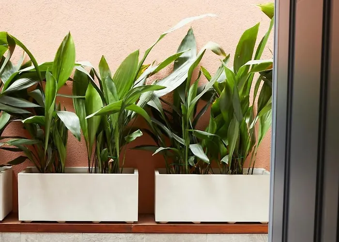 Terrace In The Heart Of * Milan