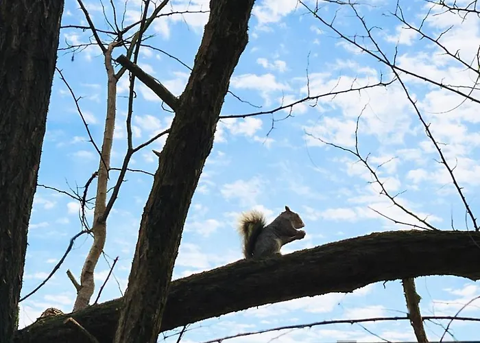 Bed & Garage Apartment In Villa דירה מילאנו