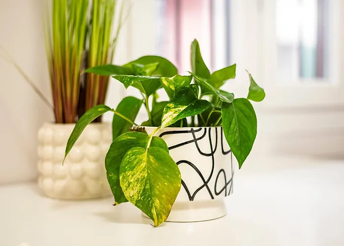 One Bedroom On Carlo Imbonati * Μιλάνο