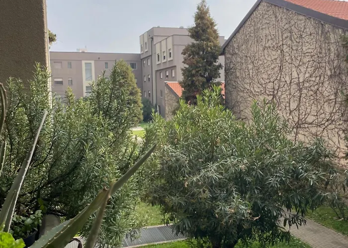 Duo Living, Spacious Comfortable 5 Minutes From Lancetti *