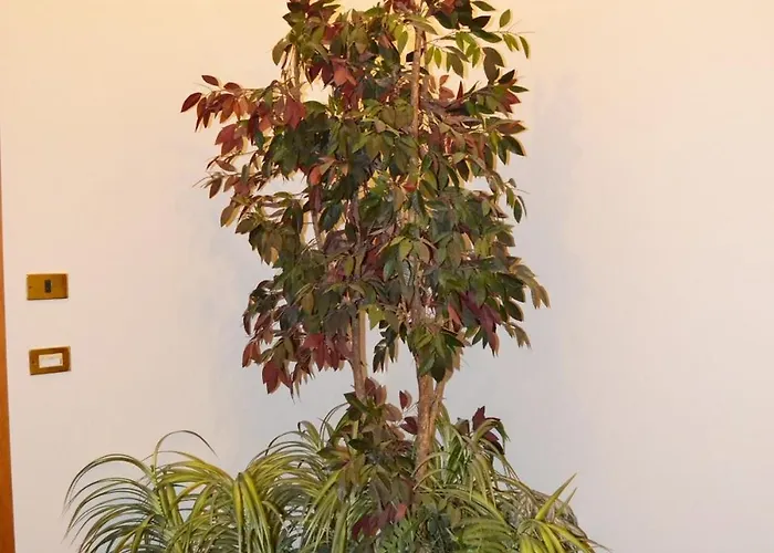 公寓 Mascagni Flat