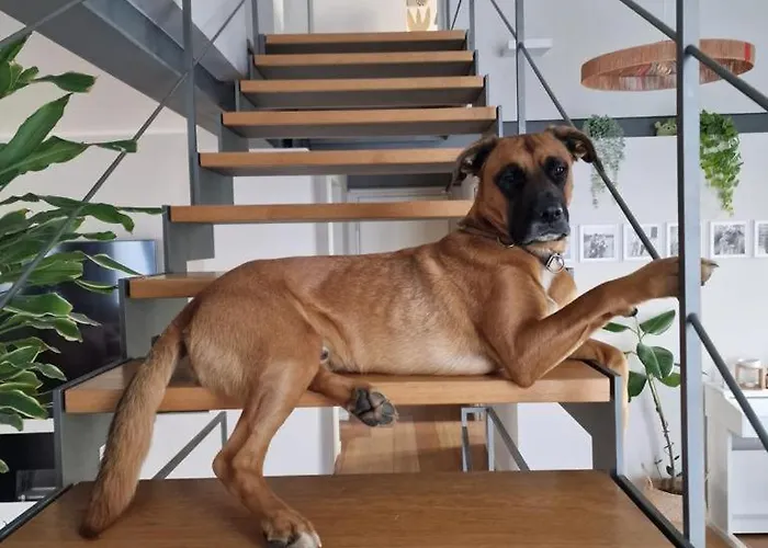 Premium Loft In The Heart Of The Navigli, Appartement *