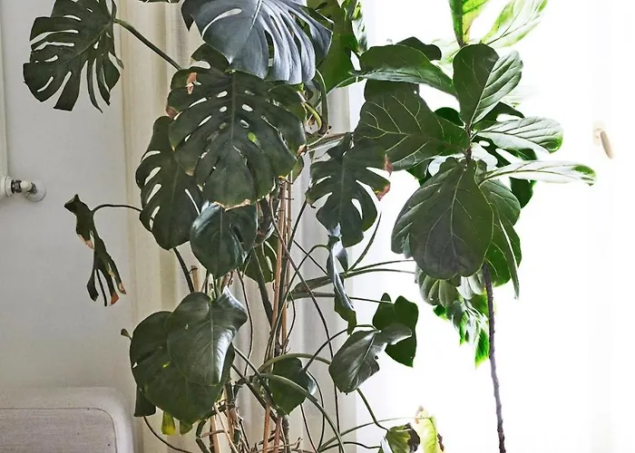 Oasi Di Relax In Centro A * מילאנו