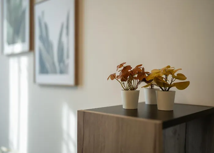 Apartmán Family-friendly In Isola District