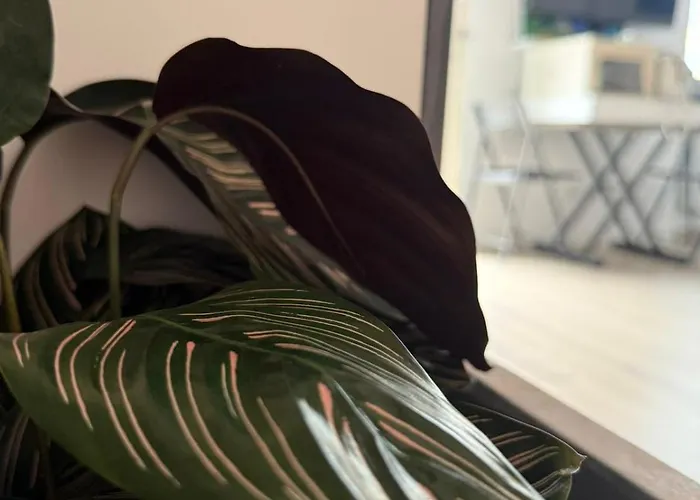 My Place-milan Centre Apartamento *