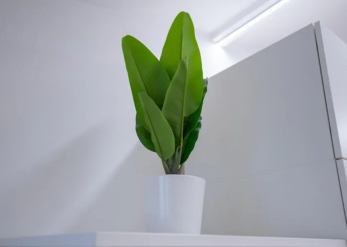 Appartement House241 Bocconi *