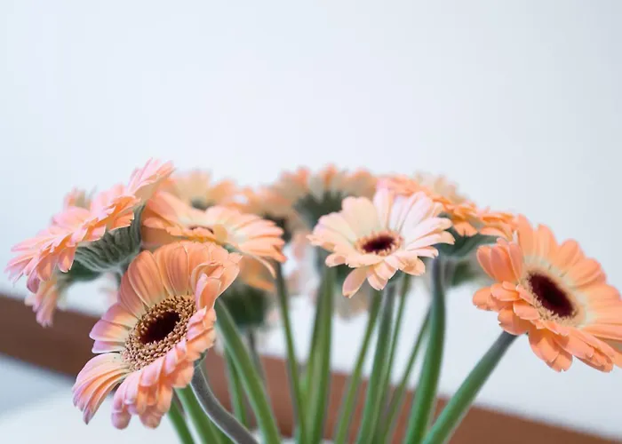 Italianway Easy - Boncompagni 2