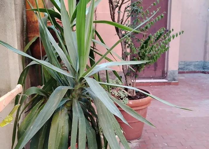 Serendipity House-porta Romana-bocconi * Milano
