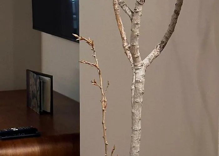 Boutique Borgo Nuovo 酒店 米兰