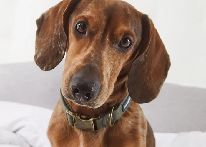 Innside Milano Torre Galfa 4* Mediolan