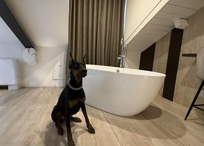 Brera Prestige Near Duomo Appartamento