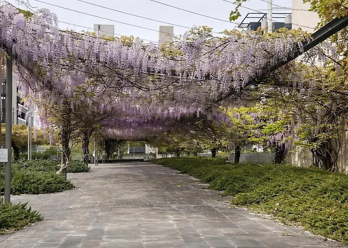 G2 New Garden Mico & Fiera *