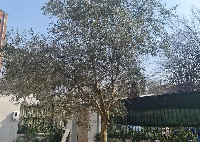 Liberty Domus Igi Apartman Milánó