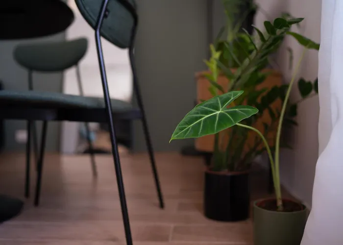 Apartamento Modern Design Near Metro, Center