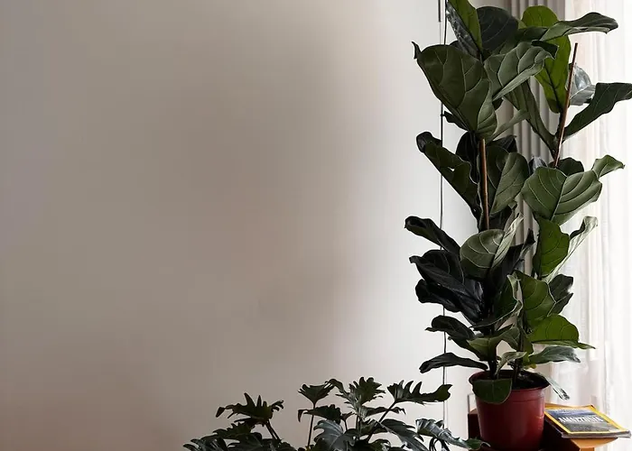 Botanical Modernist - Milanese Living