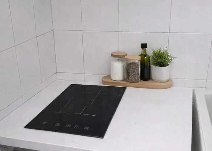 Bright Attic 120sqm In Garibaldi Quarter *