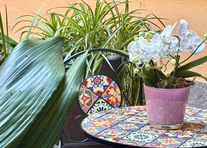 Intomilan I Design Loft San Babila 米兰