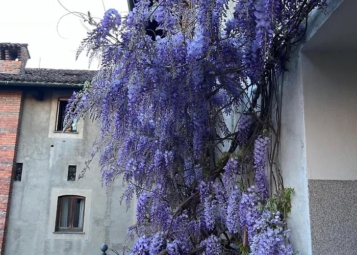 דירה Design And History