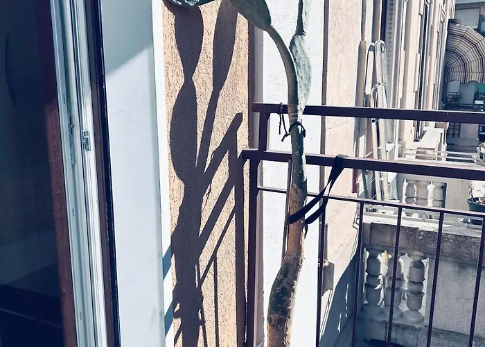 Apartment Colored House