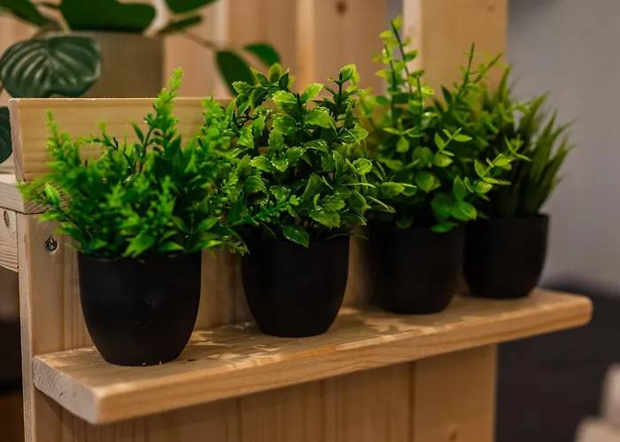 Cozy Boutique In Porta Venezia Milano