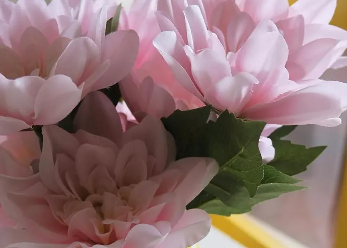 Urban House Romolo Garden View - Navigli *