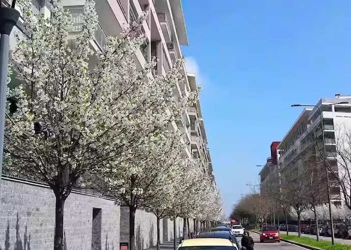 Santa Giulia Bright Two-room With 2 Terraces