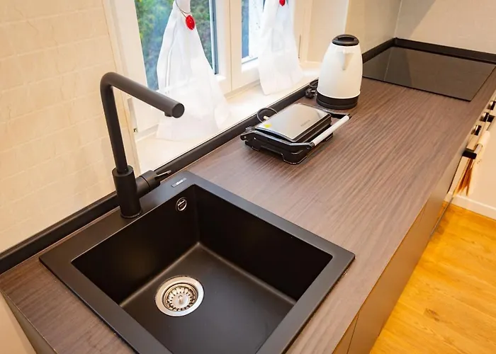 Andrea's Flat Studies Daire *