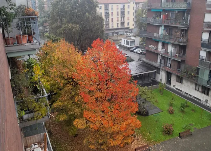 Navigli Sungarden *