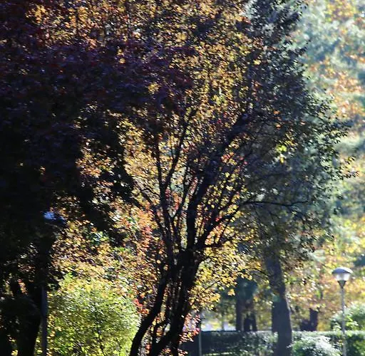 Apartment Bilocale Indipendente Milan