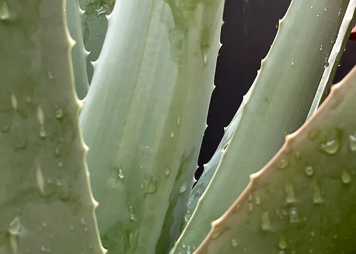 The Collector's - Private Terrace On Navigli