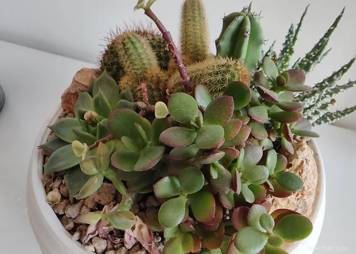 San Siro 50m From Stadium, Ideal For Rho Fiera, Fully Renovated