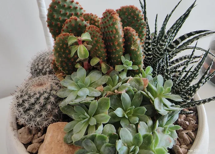 Apartamento San Siro 50m From Stadium, Ideal For Rho Fiera, Fully Renovated *