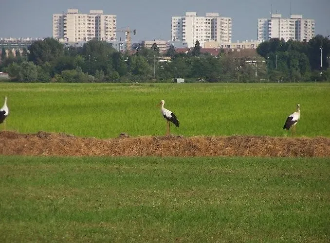 Farma Cascina Battivacco Milán