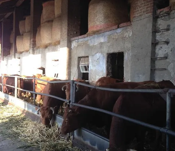 Cascina Battivacco *