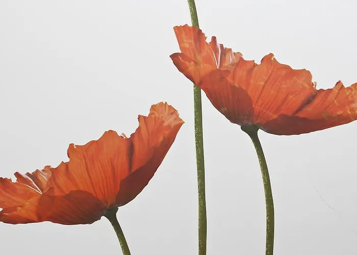 Italianway Easy - Naviglio Pavese 20