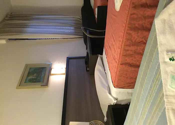 酒店 Milano Station Hotel *