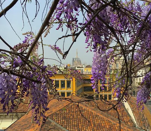 Vittoria Milano