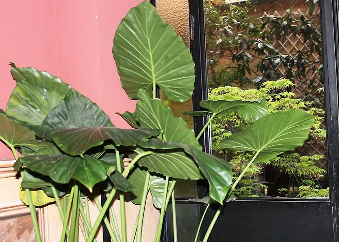 丽培缇米兰酒店 招待所 米兰