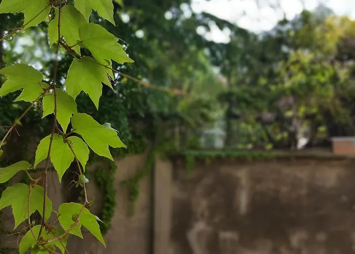 Bnbutler - Broletto 39 - A Few Steps To The Duomo And La Scala Διαμέρισμα *