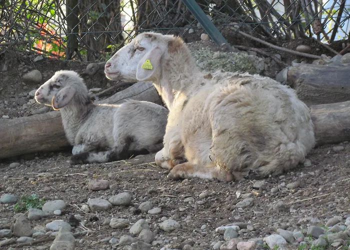 Kemp Village Citta Di 4*