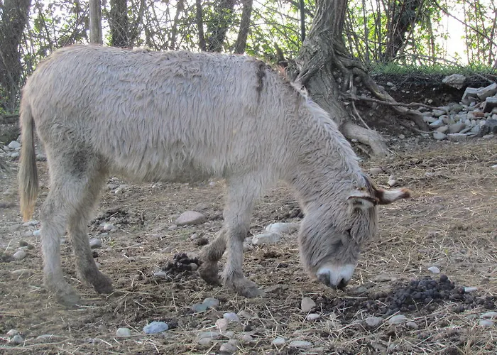 Kemp Village Citta Di Milán