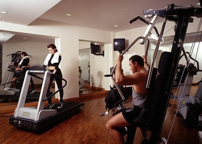 فندق سينا دي لا فيل