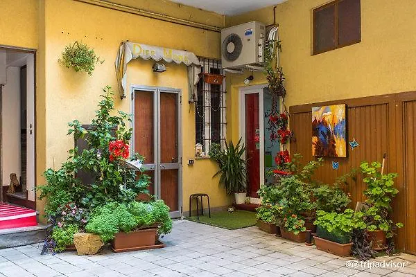 Central Hostel Milano Vandrarhem Milano